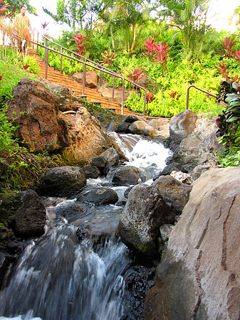 Hawaiian Waterfall