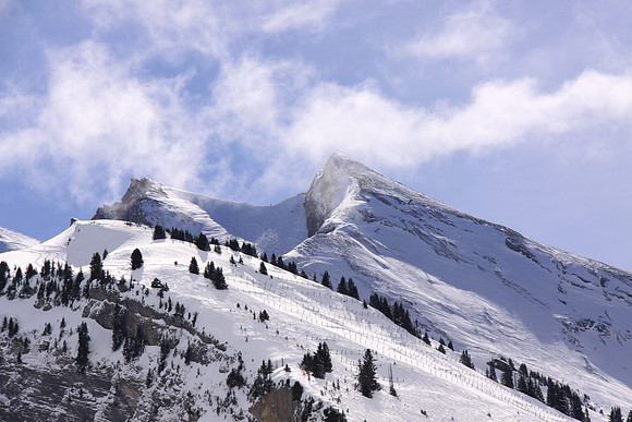 moutain under the snow